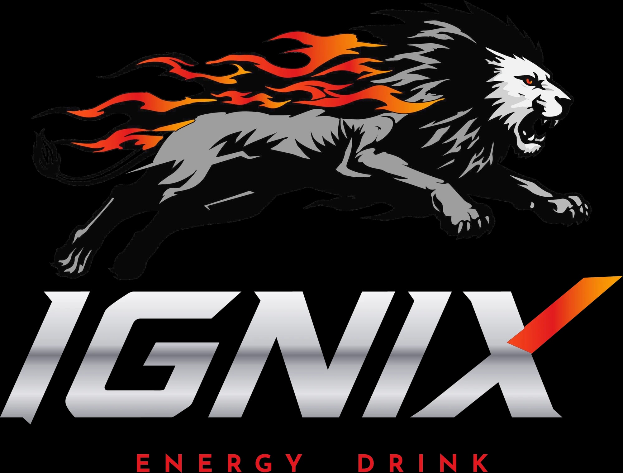 The IGNIX logo: a leaping lion with a flaming mane above the IGNIX wordmark and ENERGY DRINK tagline